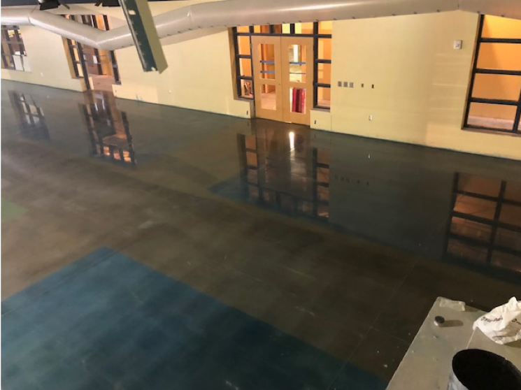 This polished concrete floor has a pattern containg blue and brown.