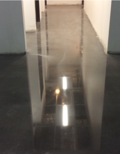 A polished cement floor runs through this hallway.